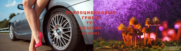 ПСИЛОЦИБИНОВЫЕ ГРИБЫ Дмитриев