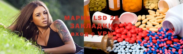 ПСИЛОЦИБИНОВЫЕ ГРИБЫ Дмитриев
