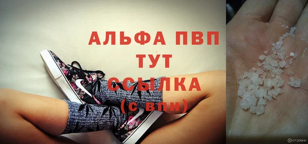 ПСИЛОЦИБИНОВЫЕ ГРИБЫ Дмитриев
