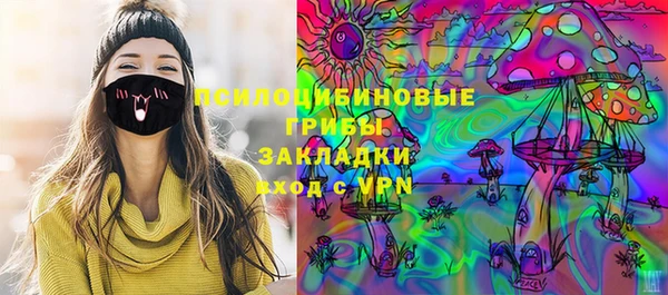 ПСИЛОЦИБИНОВЫЕ ГРИБЫ Дмитриев