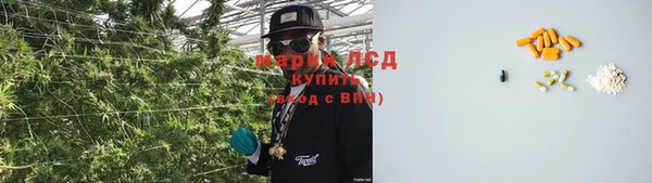 ПСИЛОЦИБИНОВЫЕ ГРИБЫ Дмитриев