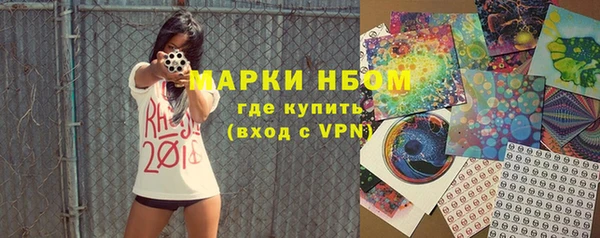 ПСИЛОЦИБИНОВЫЕ ГРИБЫ Дмитриев