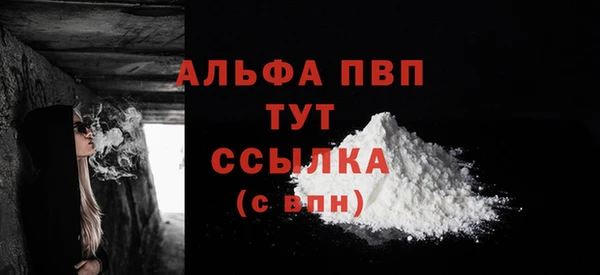 ПСИЛОЦИБИНОВЫЕ ГРИБЫ Дмитриев