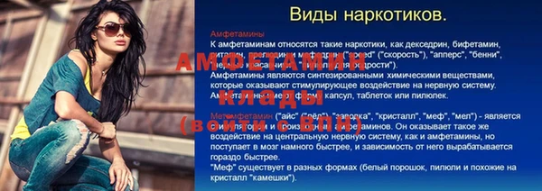 ПСИЛОЦИБИНОВЫЕ ГРИБЫ Дмитриев