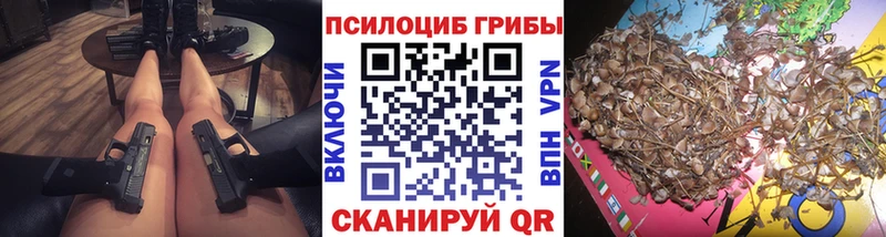 Купить  Южа  Псилоцибиновые грибы ЛСД 