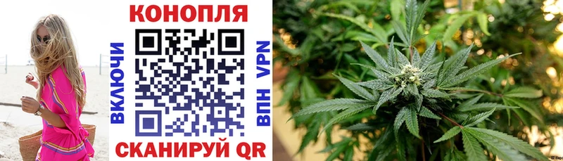 Купить где  Южа  Шишки марихуана VHQ 